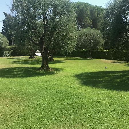 Magnifique Villa Moderne Avec Piscine La Gaude Extérieur photo